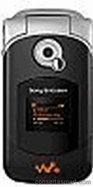 sony-ericsson-w300i
